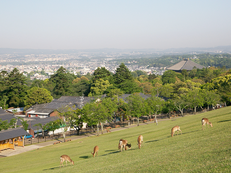 写真：コシデ写真事務所（https://koshide.p2.weblife.me/）