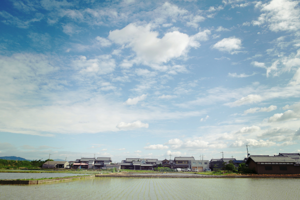 奈良田植え風景-奈良ピックルス